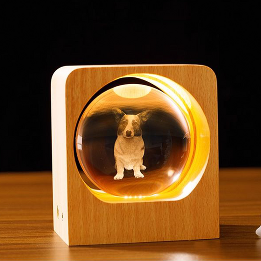 Photo DIY Private Custom Crystal Ball Night Light Ornament/Display, Wedding Anniversary Gift for Newlyweds party X party