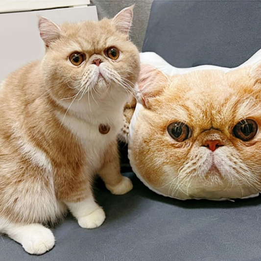 Exclusive Custom Creative Pet Cat/Dog Doll/Figurine Gift Cushion/Pillow party X party