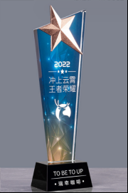 Crystal Trophy Metal Five-pointed Star Trophy – TR-175