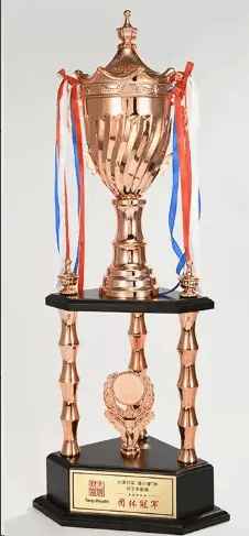 Engravable Metal Trophy | Creative Commemorative Award in Three Colors – TR-1535 - party X party