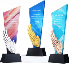 Crystal trophy Color trophy Customizable background color Three colors of wings available Metal wing trophy – TR-200 - party X party