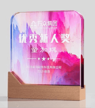 Wooden Trophy Crystal Trophy Creative Trophy Engravable – TR-830 - party X party