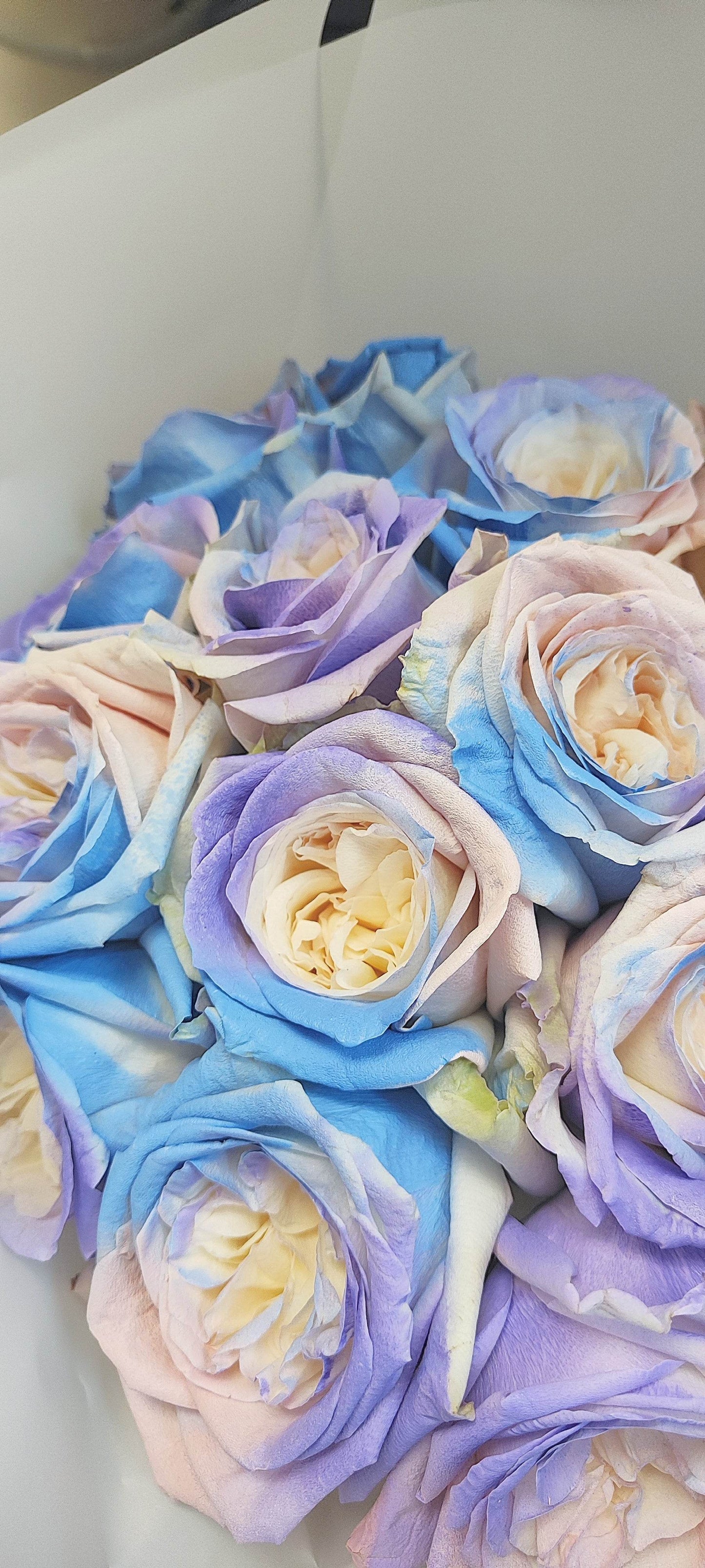 19 Unicorn Roses Bouquet – F-514 - party X party
