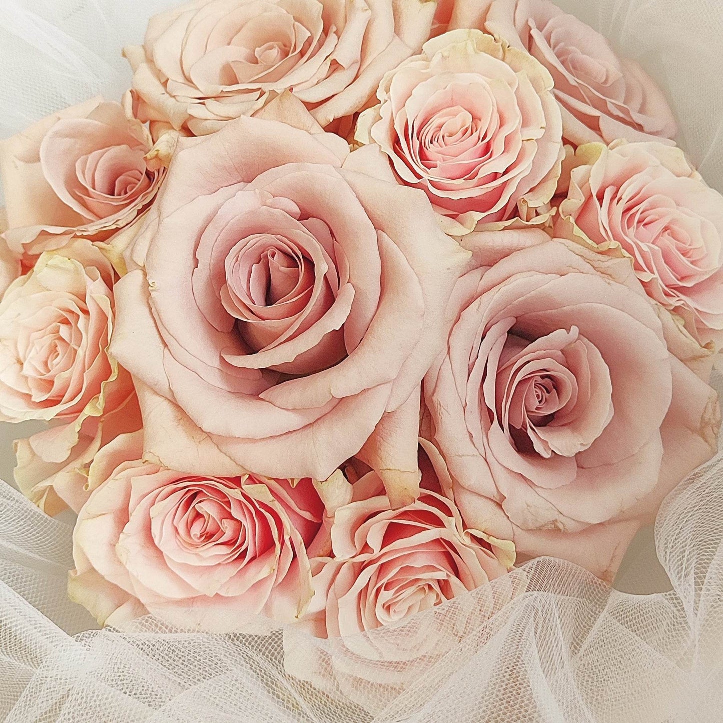 11 Pink & Dark Pink Roses with White Gauze Bouquet – Elegant Romantic Gift – F-515 - party X party