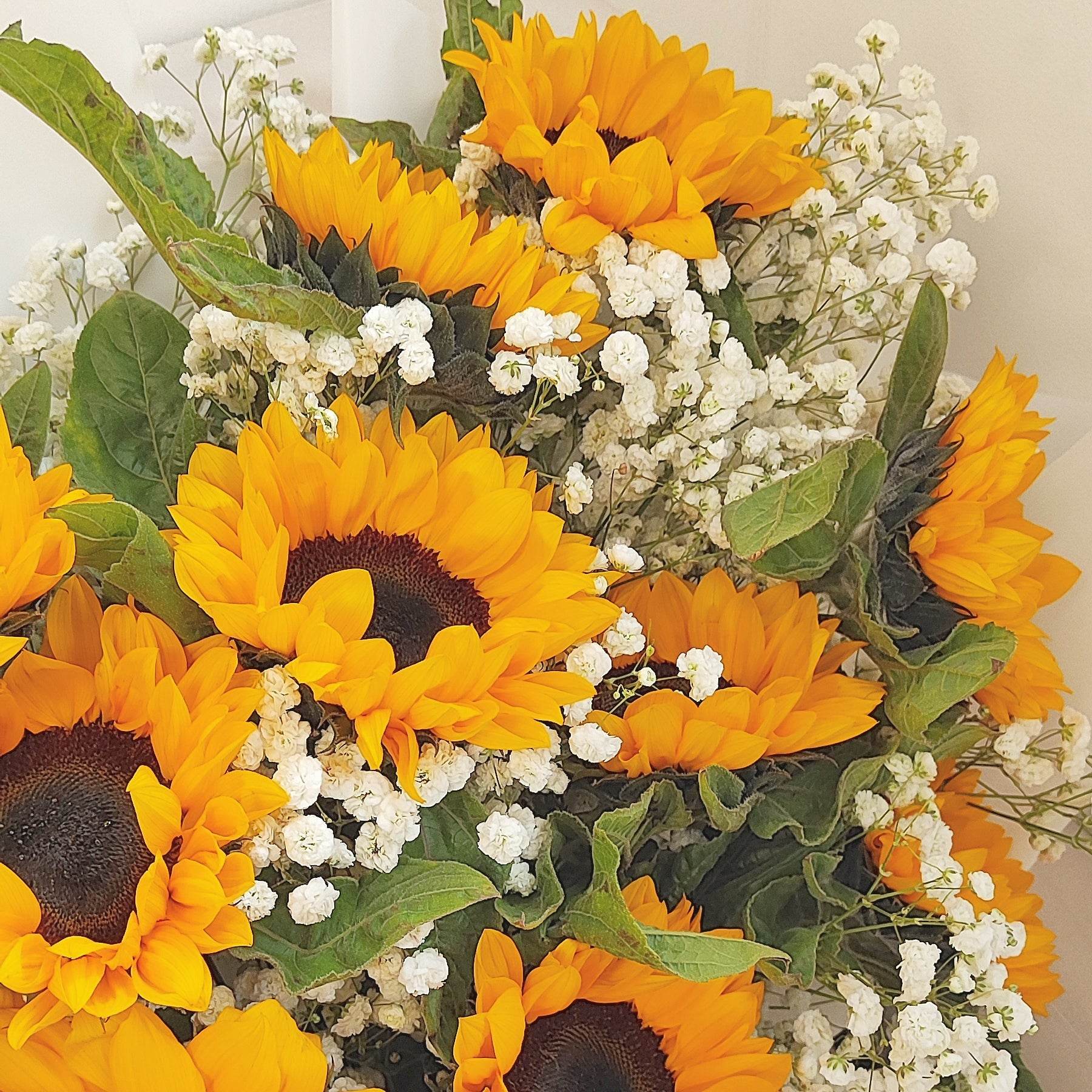 12 Sunflowers & Baby’s Breath Bouquet – Bright & Cheerful Gift – F-518 - party X party