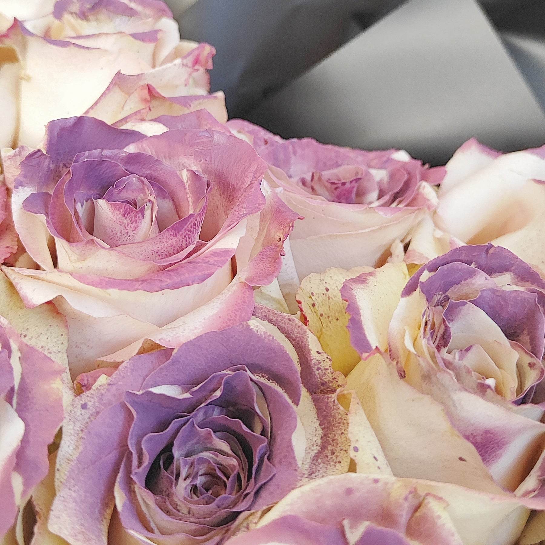 33 Plum Rose Bouquet– F-528 - party X party