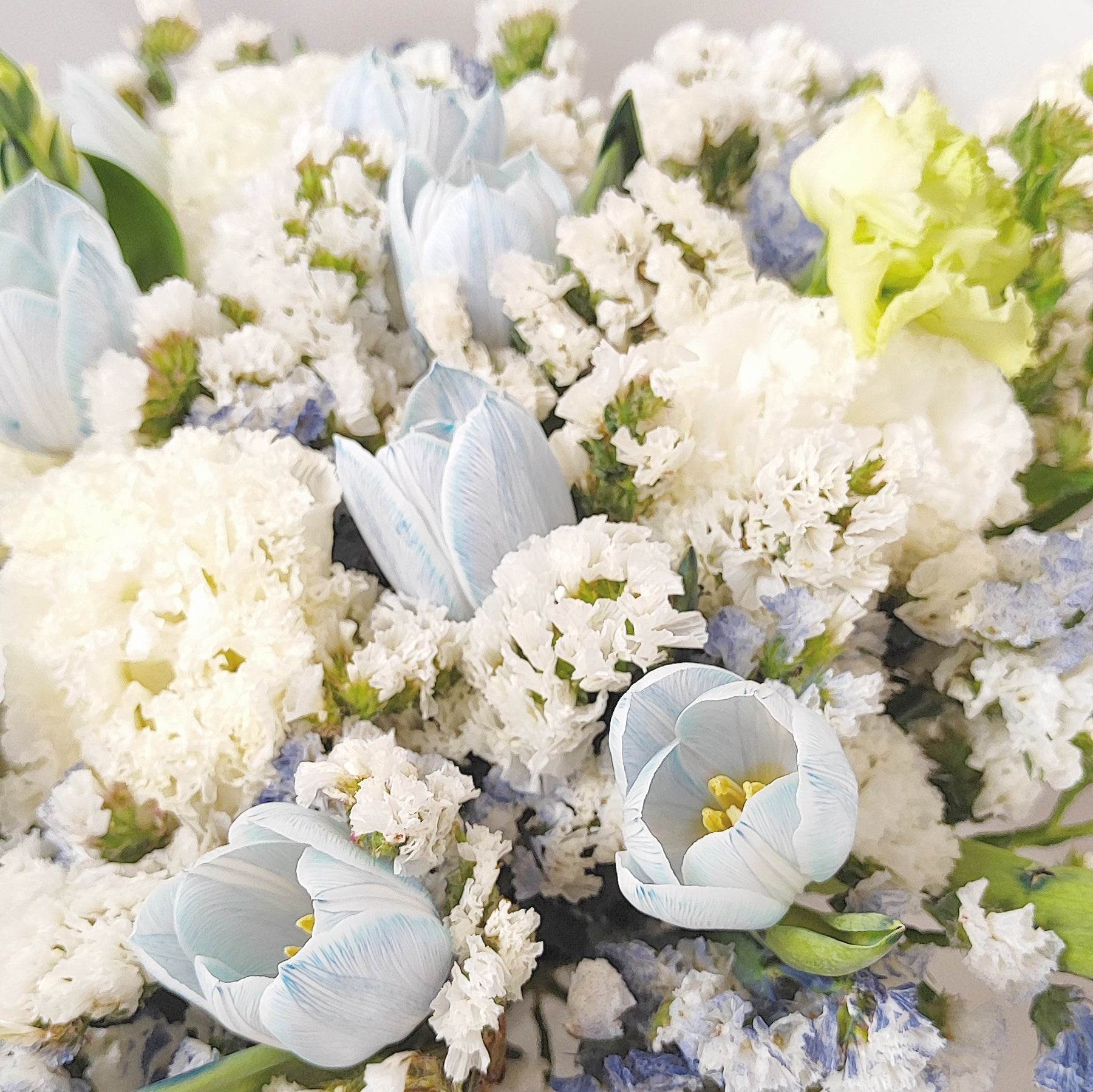 Light blue tulip forget-me-not wavy white platycodon bouquet – --F-532 - party X party