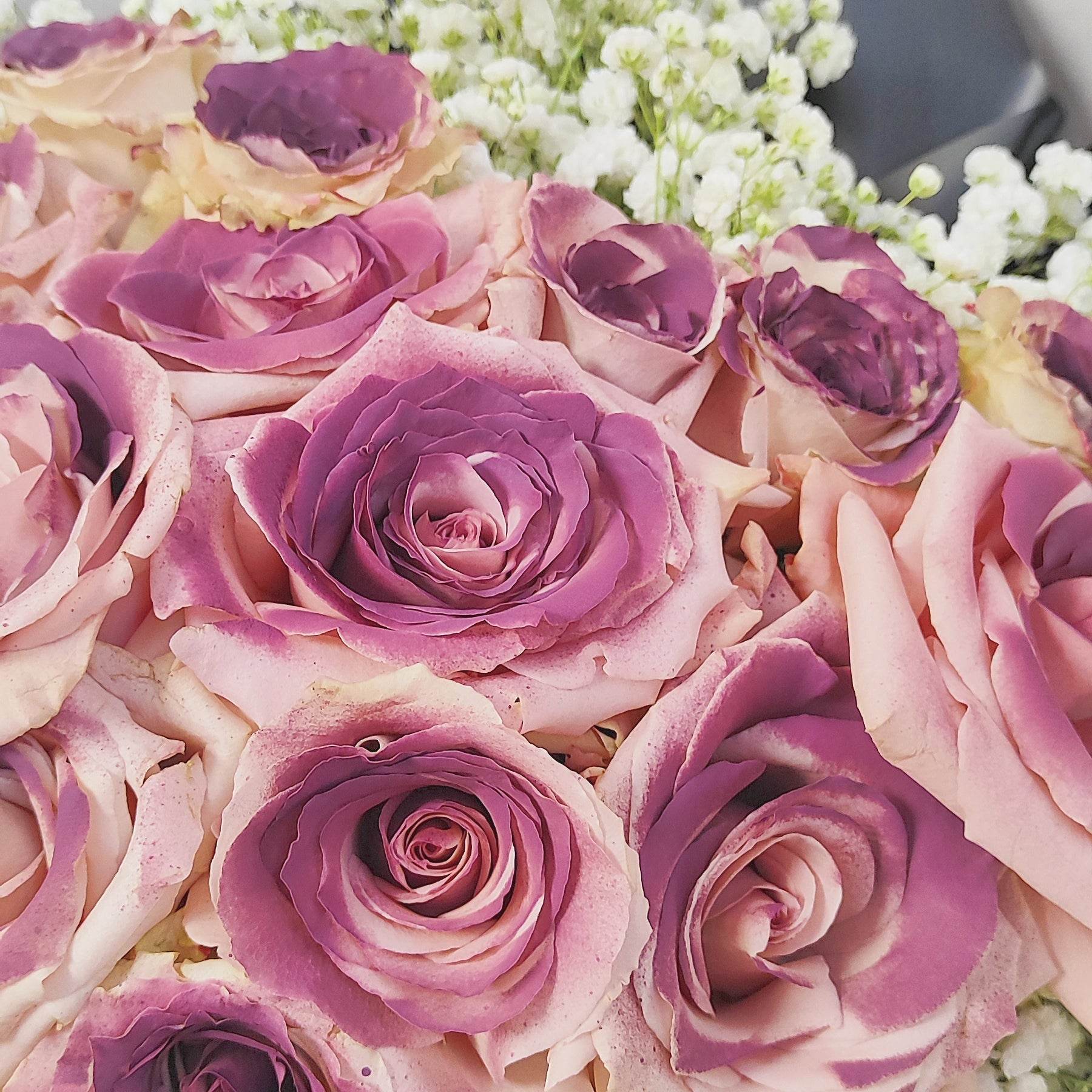 11 Black Plum Roses & Baby’s Breath Bouquet – Elegant Romantic Gift – F-538 - party X party