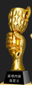 Metal Trophy Creative Trophy Engravable – TR-715