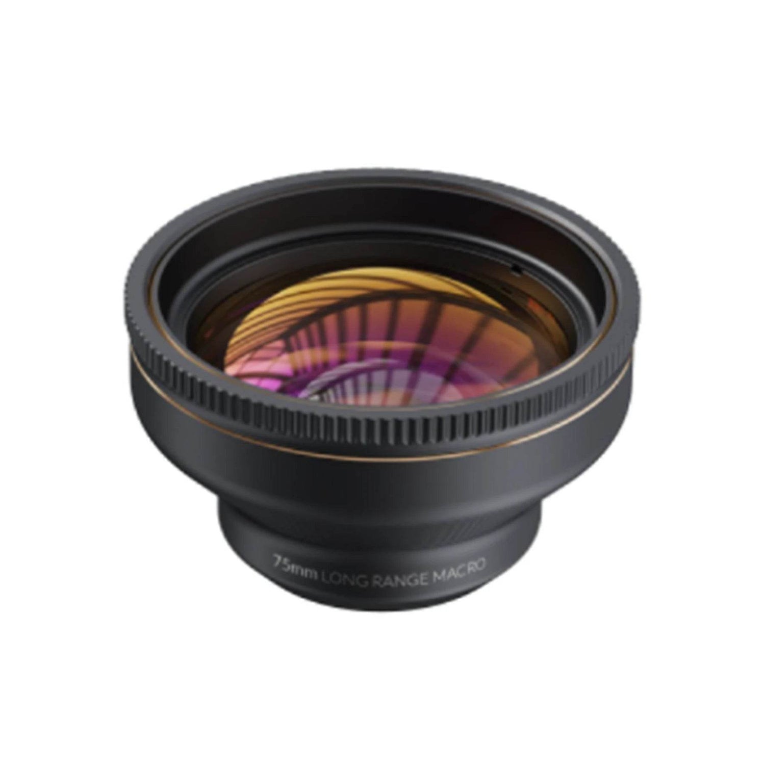 Cameras - party X party