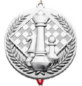 Medals Creative Medals Chess Medals Commemorative Medals Metal Medals – TR-1015 - party X party