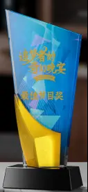 Crystal Trophy Creative Trophy Customizable Color Memorial Trophy – TR-295
