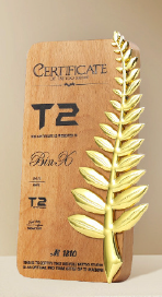 Wooden trophy Metal leaf trophy Engravable – TR-865