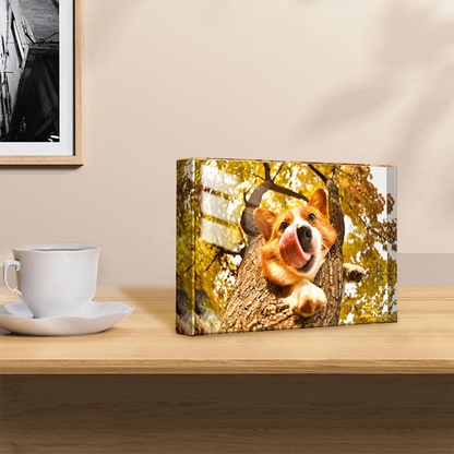 Personalized Crystal Photo Block Frame | High-End Minimalist Acrylic Picture Display | Custom Commemorative Gift for Weddings & Anniversaries