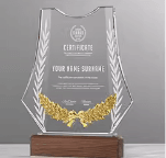 Crystal trophy fixed size - customizable color, changeable crystal base, engraving – TR-380 - party X party