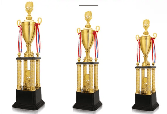 Engravable Metal Trophy | Creative Commemorative Award in Optional Sizes – TR-1430 - party X party