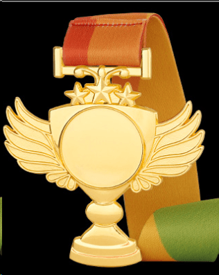 Medal Metal Medal Creative Medal Commemorative Medal Engraving on both sides – TR-1100 - party X party