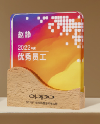 Wooden Trophy, Creative Trophy, Engravable – TR-860