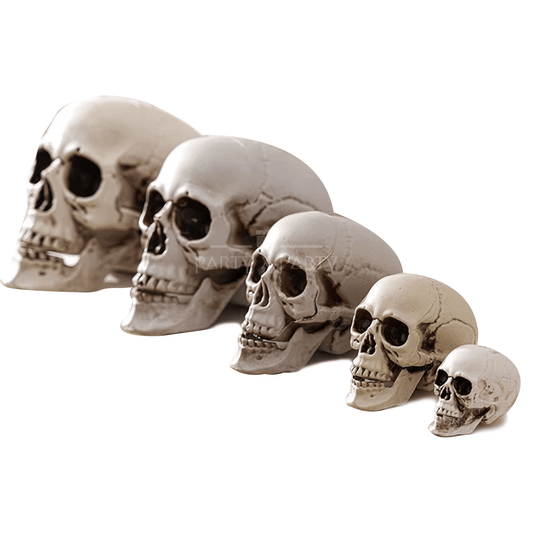 Realistic Skull Models – Halloween Props | Gothic Home Décor | 5-Piece Set - party X party