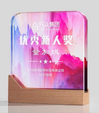 Wooden Trophy Crystal Trophy Creative Trophy Engravable – TR-830