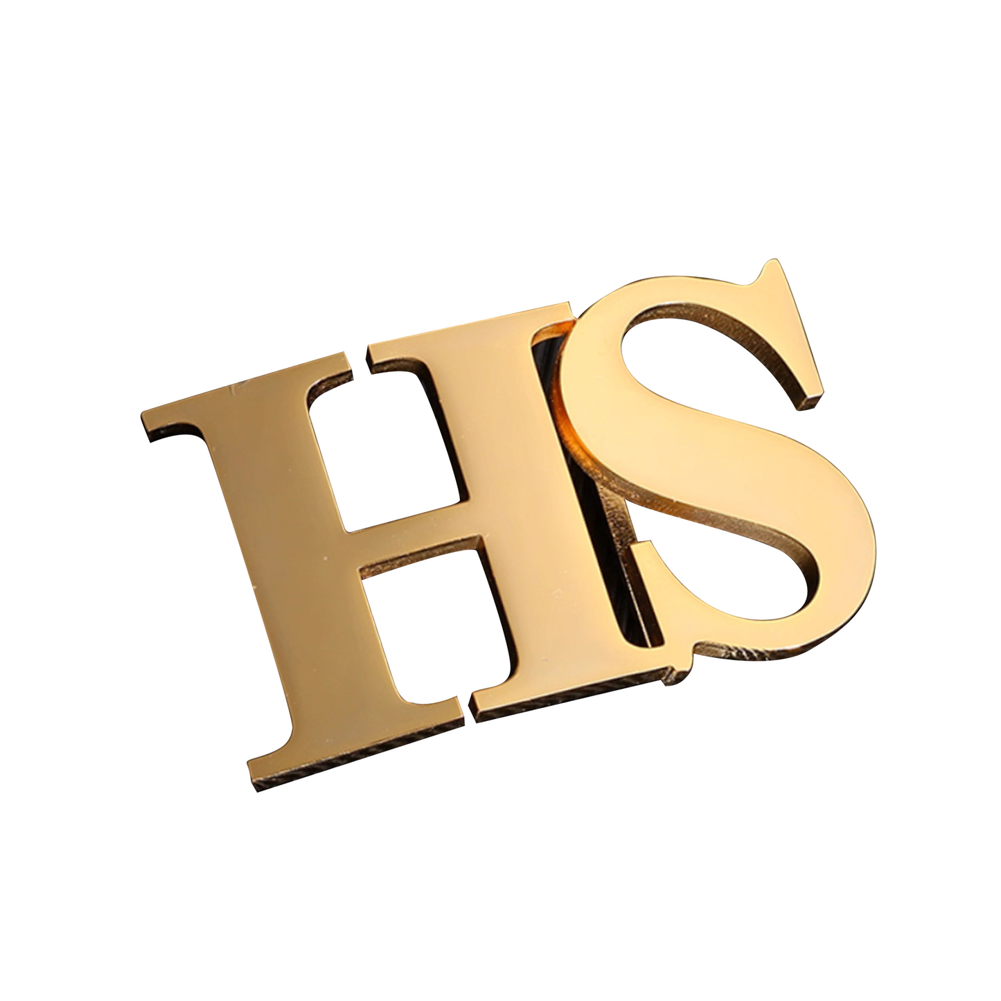 Custom Belt Buckle (Automatic or Pin Buckle Head), Company LOGO, Name DIY, High-End Gift party X party