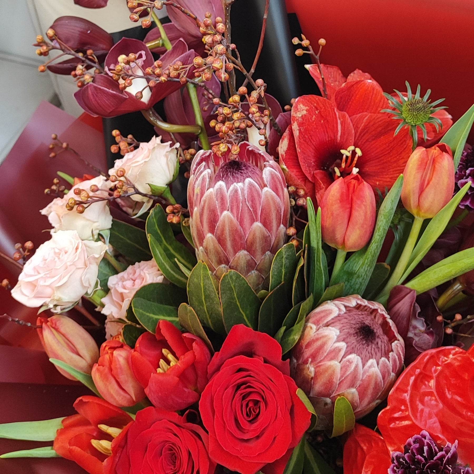Deep red cymbidium red tulip anthurium Alice small rose amaryllis red rose protea mountain return bouquet -- – F-539 - party X party