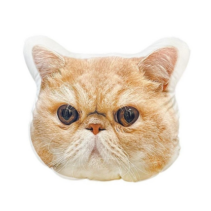 Exclusive Custom Creative Pet Cat/Dog Doll/Figurine Gift Cushion/Pillow party X party