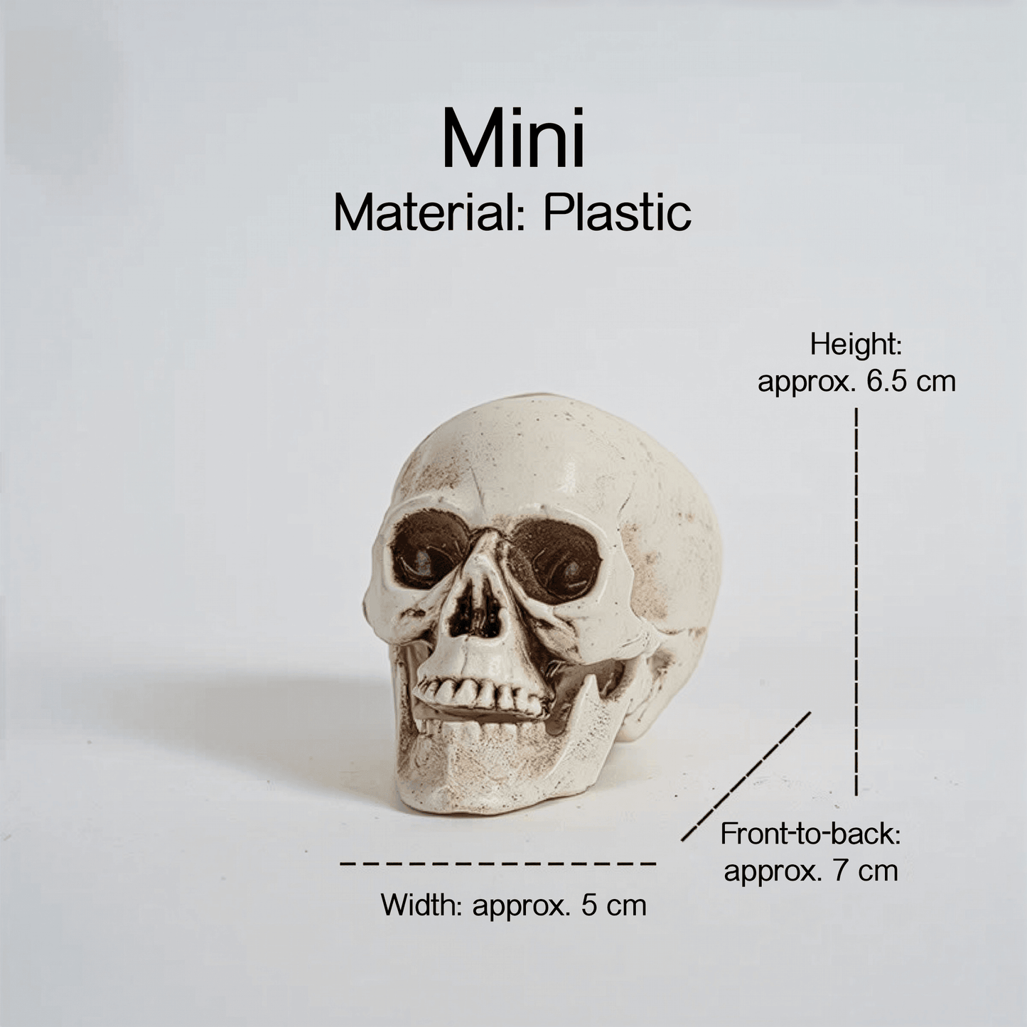 Realistic Skull Models – Halloween Props | Gothic Home Décor | Size Variants - party X party