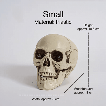 Realistic Skull Models – Halloween Props | Gothic Home Décor | Size Variants - party X party