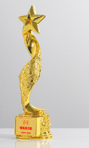 Metal Trophy Creative Trophy Engravable – TR-755