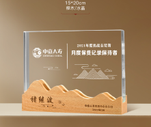 Wooden Trophy, Creative Trophy, Engravable – TR-850