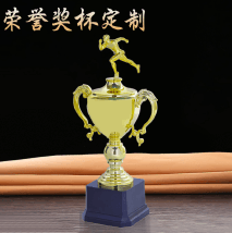 Creative Metal Trophy | Unique Award Available in Multiple Styles – TR-670 - party X party