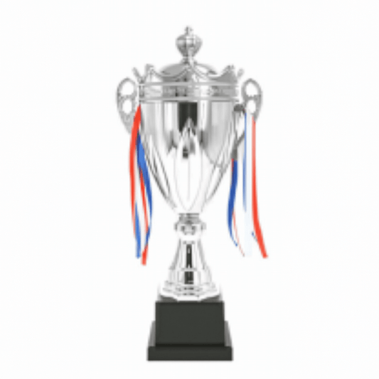 Engravable Metal Trophy | Creative Commemorative Award in Multiple Colors & Sizes – TR-1430 - party X party