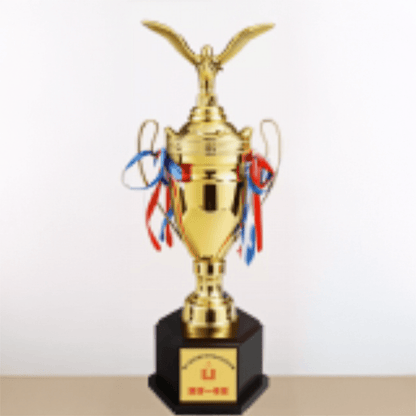 Engravable Metal Trophy | Creative Commemorative Award in Three Colors & Selectable Sizes – TR-1530 - party X party