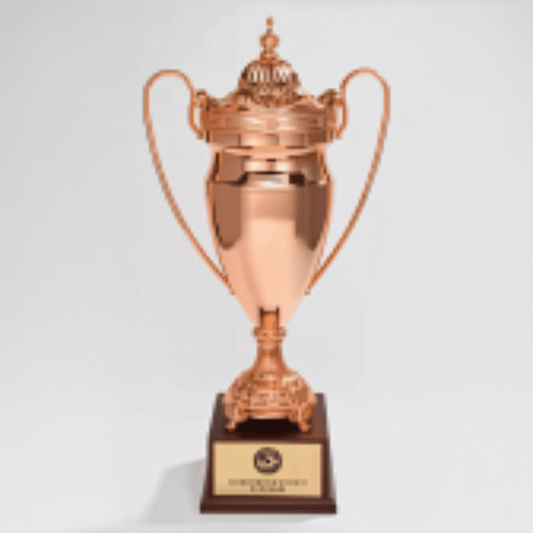 Engravable Metal Trophy | Creative Commemorative Award in Three Colors – TR-1540 - party X party