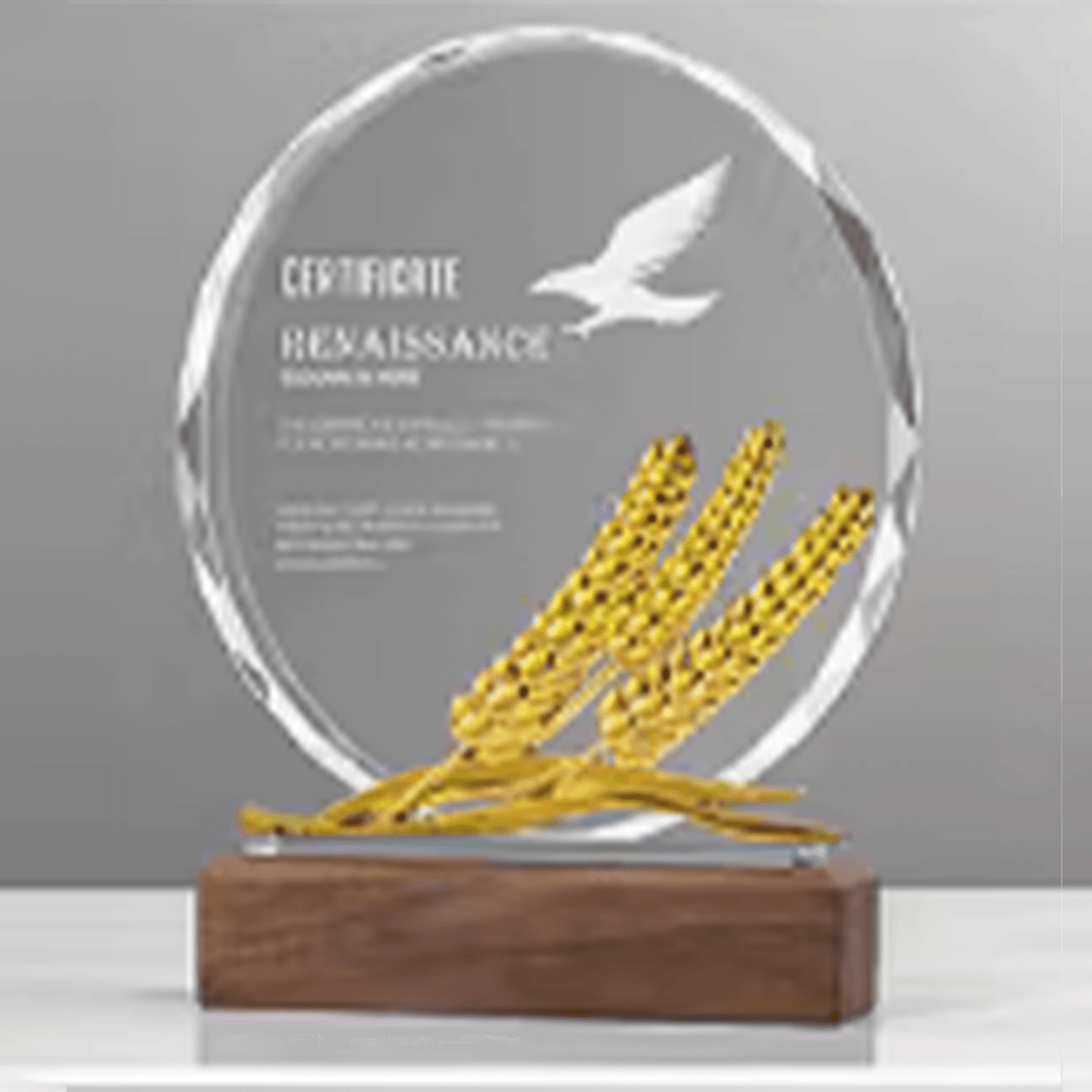 Crystal trophy, fixed size, changeable crystal base, engraving possible – TR-375 - party X party