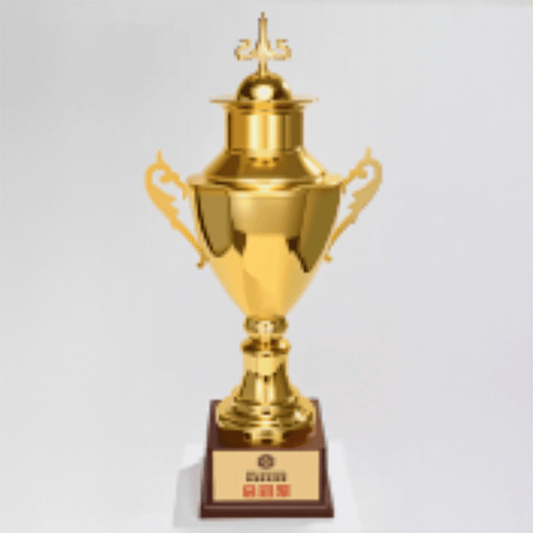 Engravable Metal Trophy | Creative Commemorative Award – TR-1520 - party X party